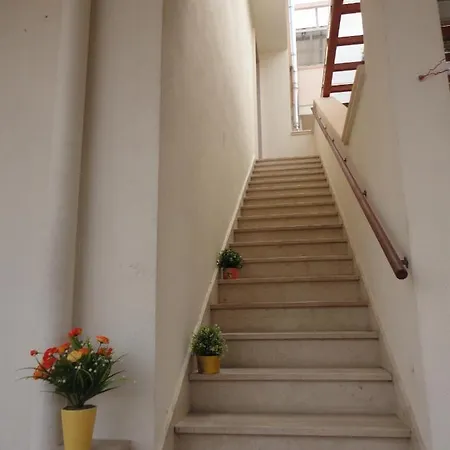 Palm Garden Bed and Breakfast